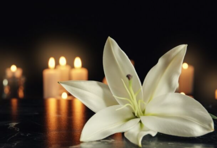 lilly image
